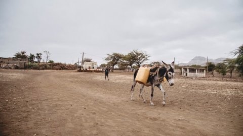 Cabo Verde: “A situação atual do país se caracteriza por uma crise hídrica sem precedentes”