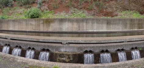 Seminário  “Adaptação às Alterações Climáticas – Uso eficiente da água na Macaronésia” para celebrar o Dia Nacional da Água na R.A. de Madeira